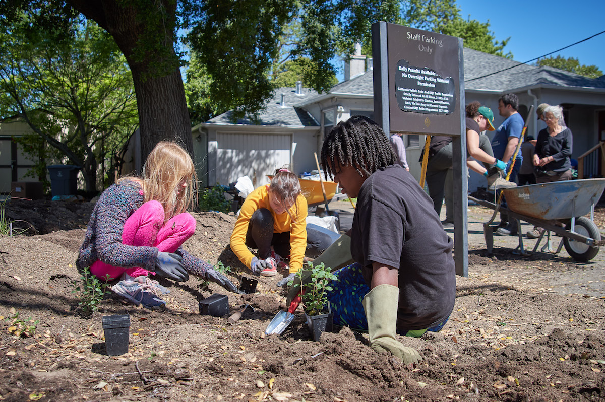 Students gardening for Living Learning Landscapes