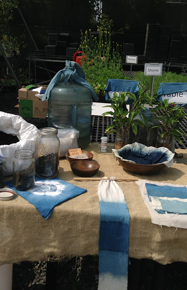 natural dyes on a table at Shone Farm